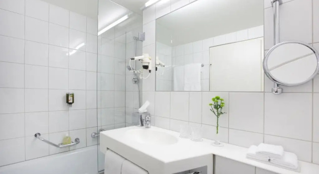 Одноместный номер Standard Hotel Schwärzler