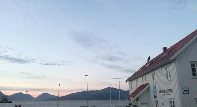 Кровать в общем номере Lofoten Gate Hostel