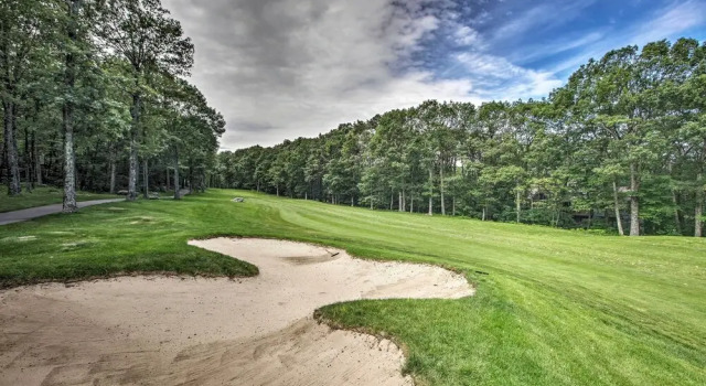 Коттедж Stunning Wintergreen Resort Home: Ski & Golf
