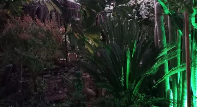 Номер Economy Mystery Garden Guest House