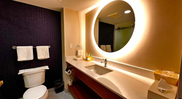 Люкс Fairfield by Marriott Inn & Suites Newmarket
