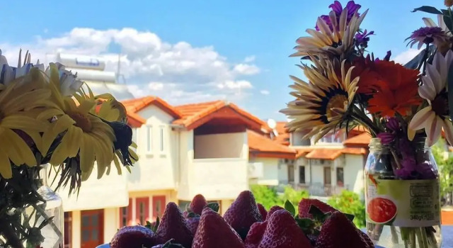 Номер Standard Erasmus Apart Hotel