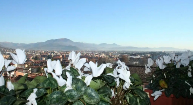 Студия Casa Vacanza Fontana Del Delfino
