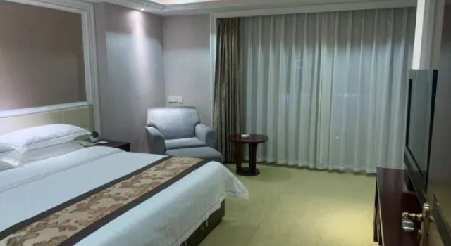 Люкс Deluxe Zhendong Business Hotel