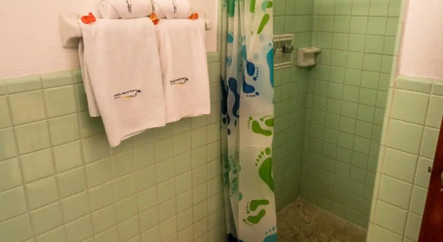 Двухместный номер Standard Hotel Catalina Beach Resort