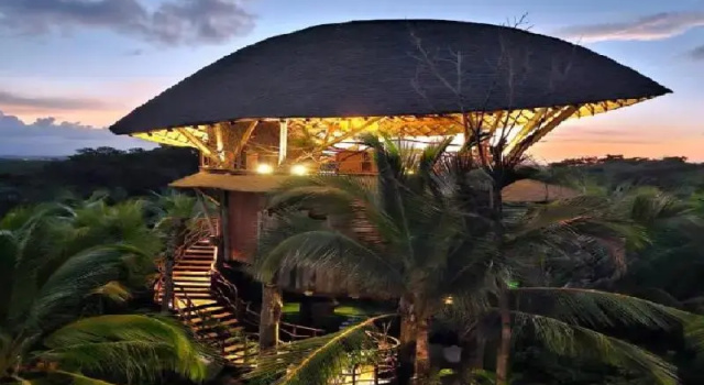 Коттедж Standard Nayara Bocas del Toro