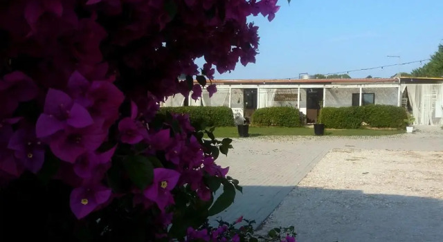 Standard Vierer Zimmer mit Gartenblick Mazzara Farm