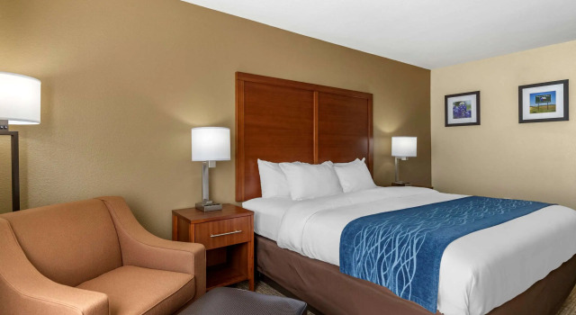 Двухместный номер Standard Comfort Inn & Suites Texas Hill Country