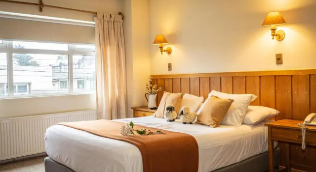 Двухместный номер Standard Hotel Museo El Greco Puerto Varas