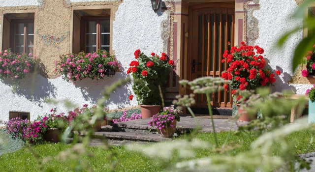 Pension der Steinbock, Rezervovat Hotel Hotely v Tyrolsko se snídaní, Snídaně