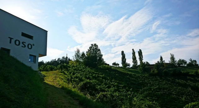 Weingut Winzerzimmer Toso, Reserva ahora Hotel Leutschach Styrian Wine Road