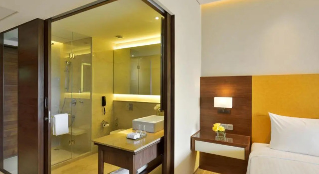 Двухместный номер Deluxe с видом на сад Courtyard by Marriott Raipur