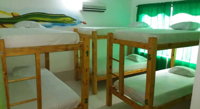 Taganga Paradise Hostal & Diving - Hostel, Rezervovat Hostel Hostely v Taganga, Hostel