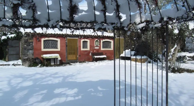 Villa Vecchio, Book Villa Sommerhuse i Sicilien, Hytte
