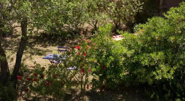 Номер Standard Agriturismo Don Lucifero