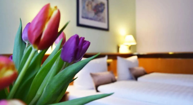 Двухместный номер Standard Landhotel Zum Hirsch