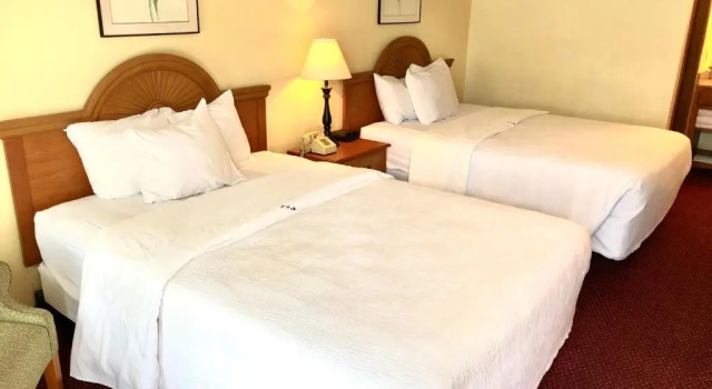 Четырёхместный номер Economy Honeysuckle Inn & Conference Center