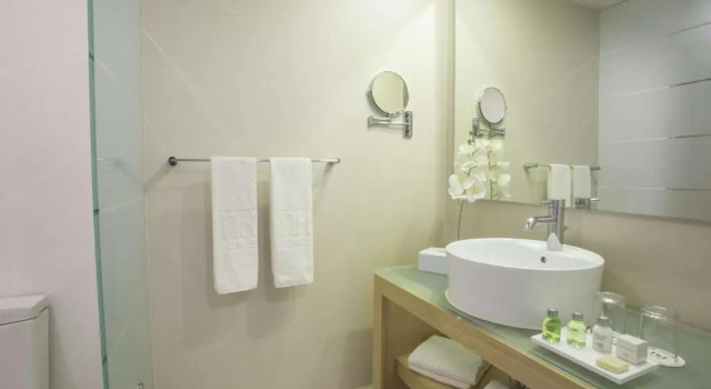 Двухместный номер Standard NH Mexico City Valle Dorado