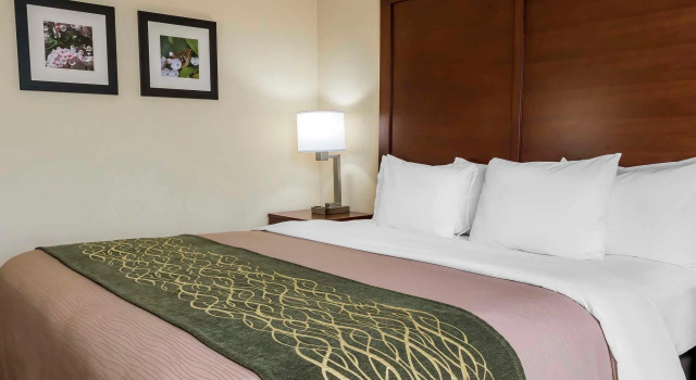 Двухместный номер Standard Comfort Inn - Pocono Mountains