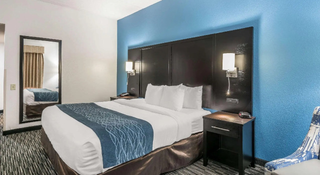 Двухместный номер Standard Comfort Inn Gainesville - University Area
