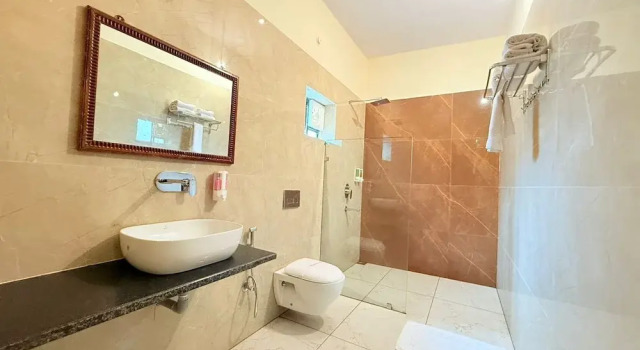 Номер Classic Raj Palace Resort