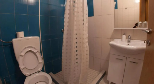Двухместный номер Standard Guesthouse Hortenzija
