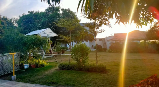Lion Signature Family Resort
