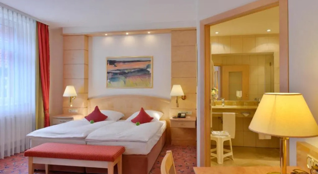 Двухместный номер Comfort с красивым видом из окна Ringhotel Weißer Hirsch