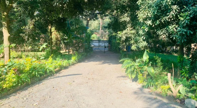 Maura Apartments & Lodge