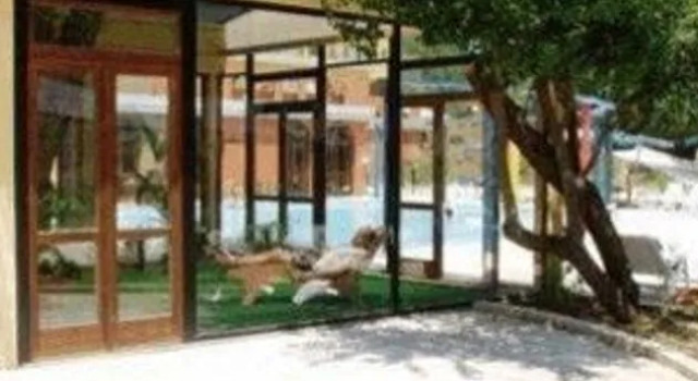 Antas Hotel Congress And Spa, Prenota Resort Hotel a Fluminimaggiore con piscina, Piscina