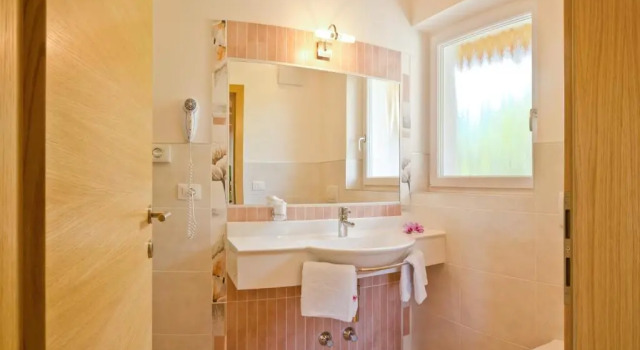 Апартаменты c 1 комнатой с балконом Plarserhof