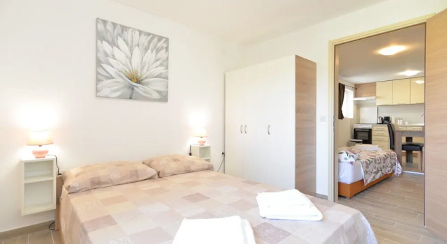 Апартаменты Standard Apartment 1890