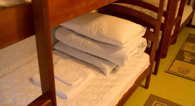 Кровать в общем номере Citrus Hostel