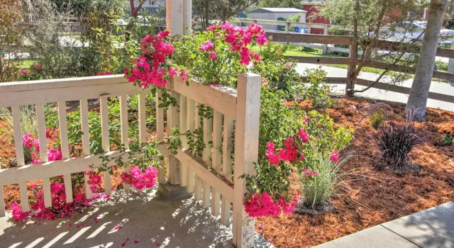 Коттедж Serene Bungalow-style Home in Point Reyes Station!