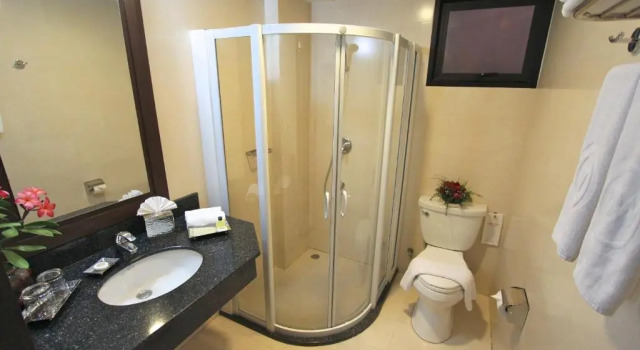 Двухместный номер Standard The Dawin Hotel