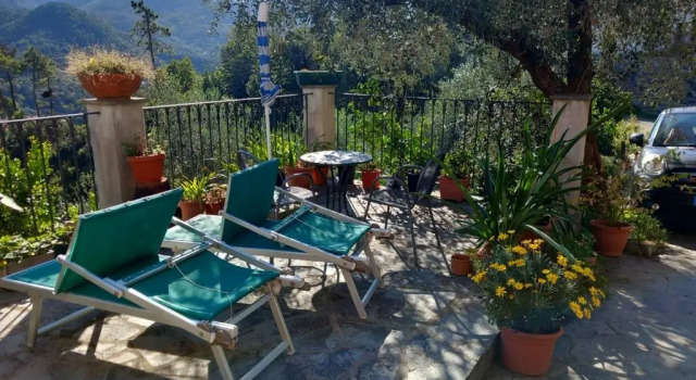 Коттедж azienda agricola zulin casa elena