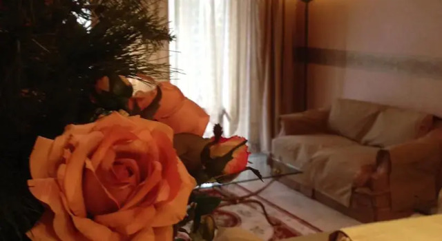 B&B Il Bagolaro dellEtna