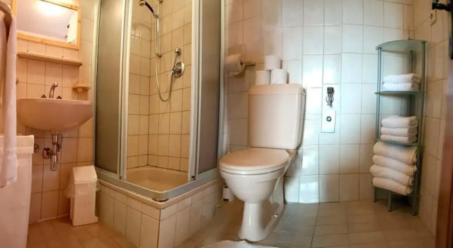 Двухместный номер Standard Yoga Resort AlpenRetreat