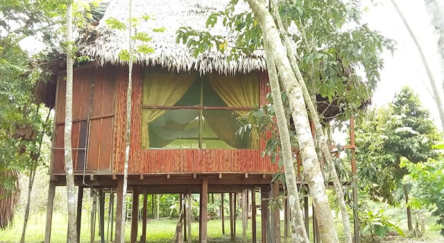 Трёхместный номер Standard Antares Amazon Lodge