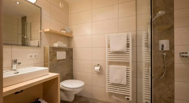 Одноместный номер Standard Hotel Alpina