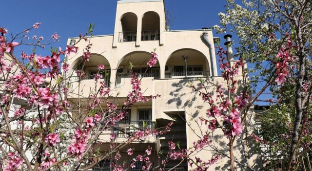 Luys Hostel & Tours