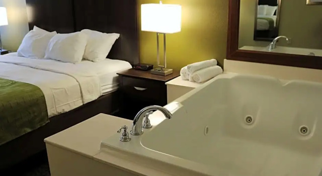 Двухместный номер Standard с балконом и с видом на реку Best Western Plaza Inn