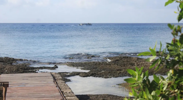 Cozy studio across from the Ocean E12, Prenota Appartamento Hotel a Quintana Roo con parcheggio, Parcheggio