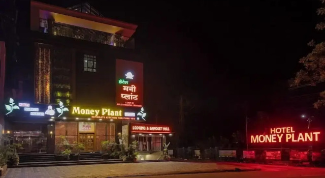 Hotel Money Plant