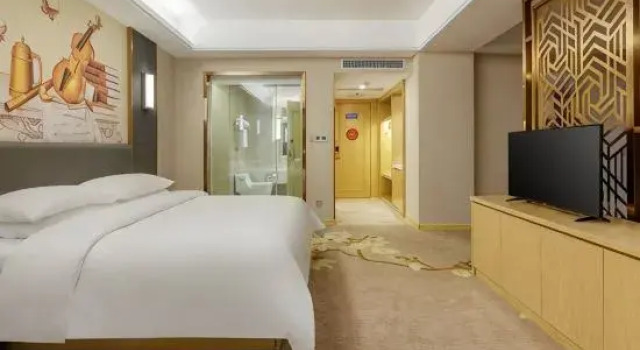 Люкс Deluxe Vienna International Hotel (Tongling Wanda High-speed Railway Station Branch)