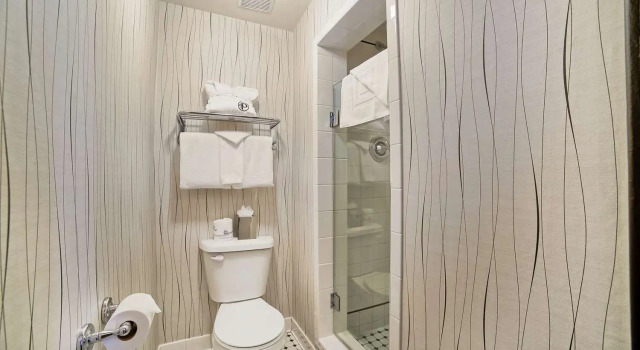 Четырёхместный номер Standard The Peery Salt Lake City Downtown, Tapestry Collection by Hilton