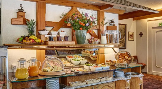 Одноместный номер Standard Hotel an der Reuss