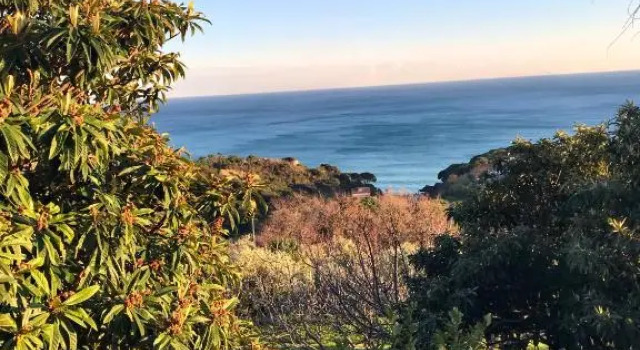 Студия Agriturismo Natta Di Monte Tabor