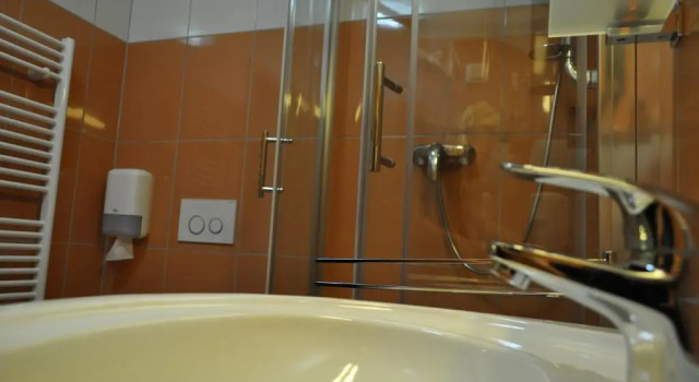 Трёхместный номер Standard Hotel Zarja