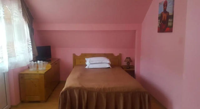 Четырёхместный номер Standard Мансарда Pensiunea Aurora - Great hostel Voineasa